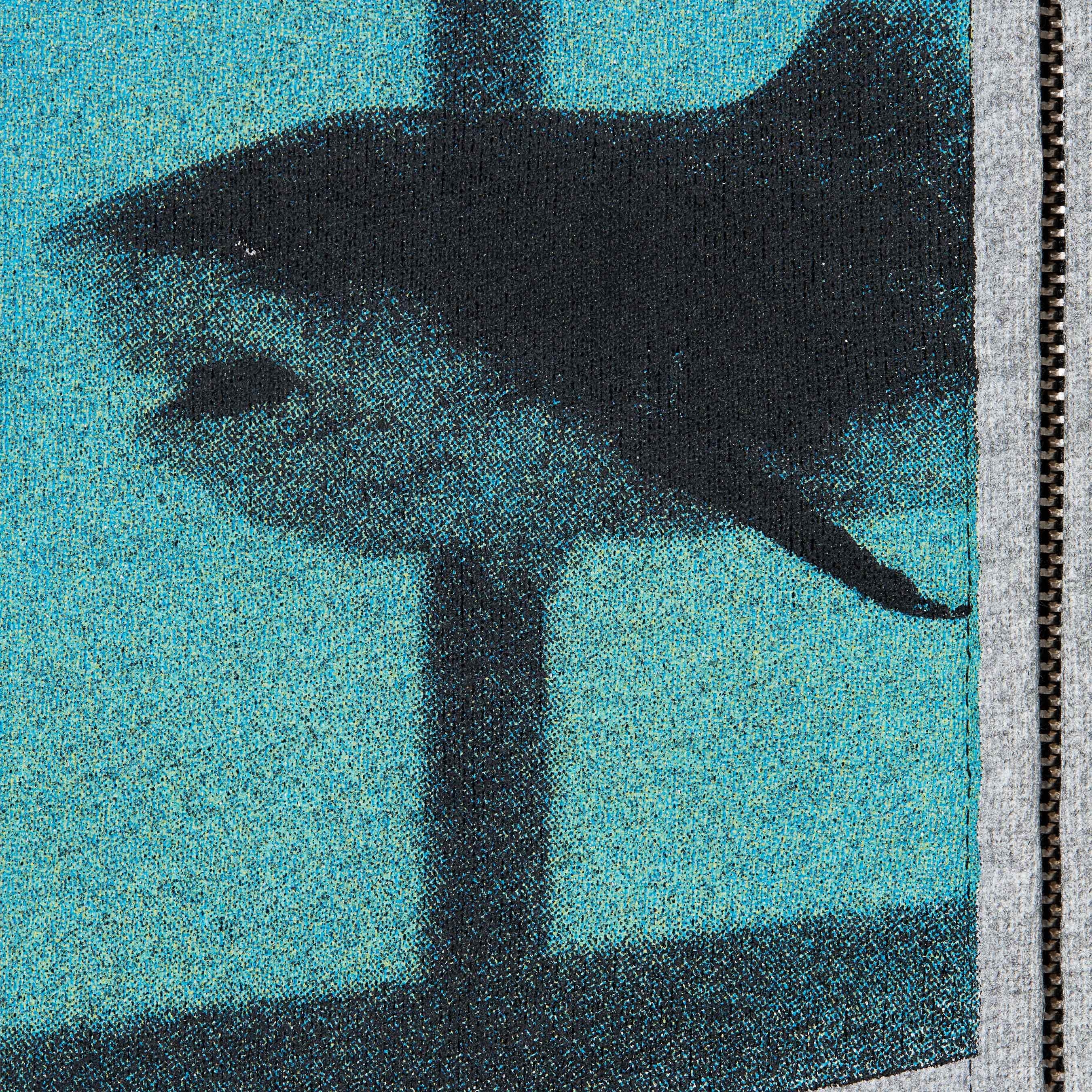 Supreme/Damien Hirst Zip Up Hooded Sweatshirt view 5